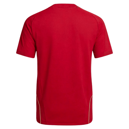 Retro Soccer Jersey Spain Home 2008