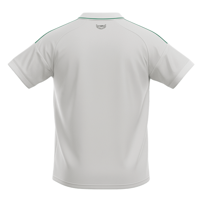 Wales Away Soccer Jersey World Cup 2026