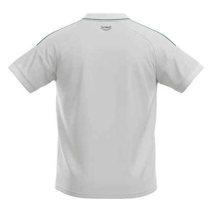 Wales Away Soccer Jersey World Cup 2026